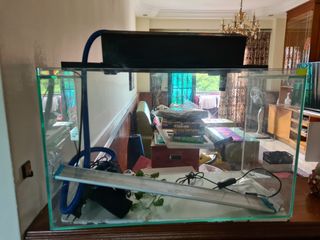 (Category: ) located in . Submitted by atharva_space (Listing ID 1055678470, Image 1). Description: .