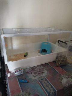 (Category: ) located in . Submitted by jh3riel (Listing ID 1055751553, Image 1). Description: .
