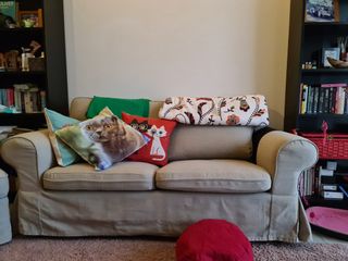 (Category: ) located in . Submitted by ihatehoarding (Listing ID 1055669735, Image 1). Description: .