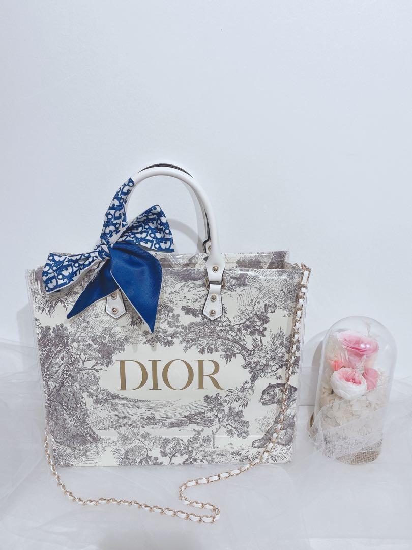Dior Men Paper Bag Luxury Bags  Wallets on Carousell