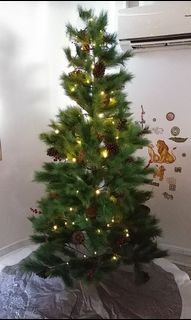 (Category: ) located in . Submitted by totorom (Listing ID 1056098232, Image 1). Description: .