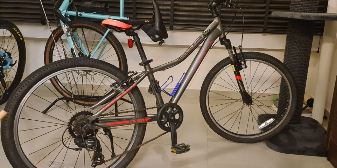 Giant Liv Enchant Bike Online, 50% OFF 