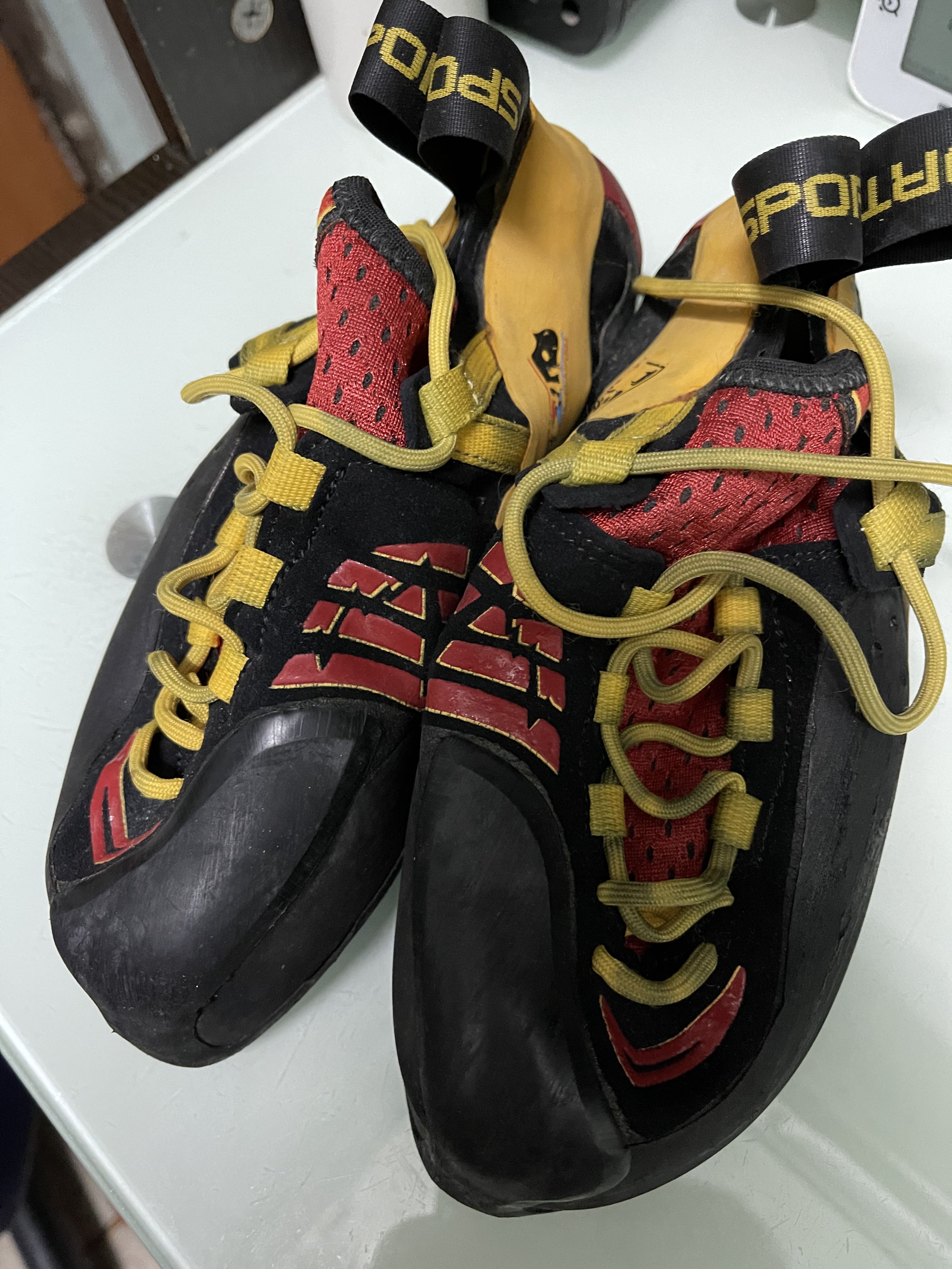 la sportiva genius climbing shoe