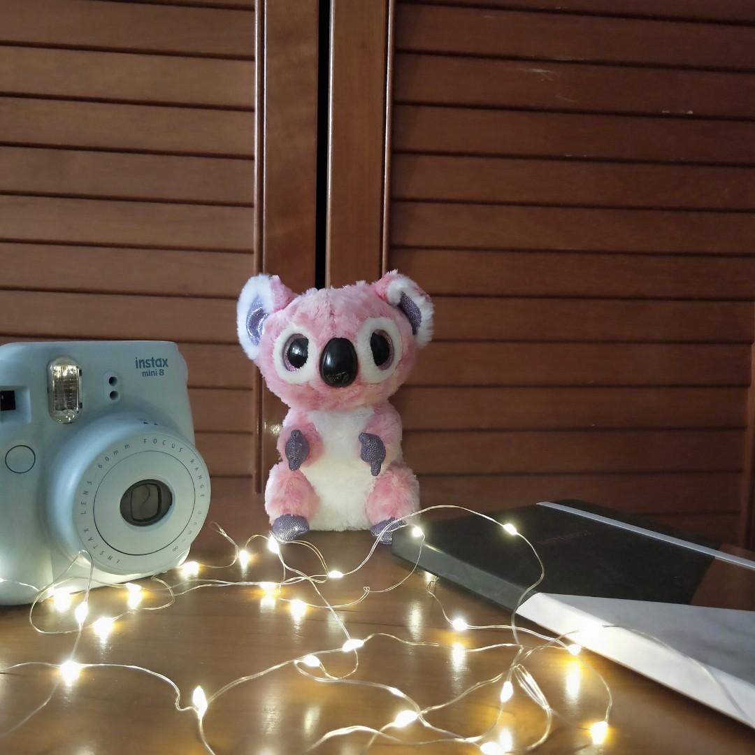 Kacey the koala deals