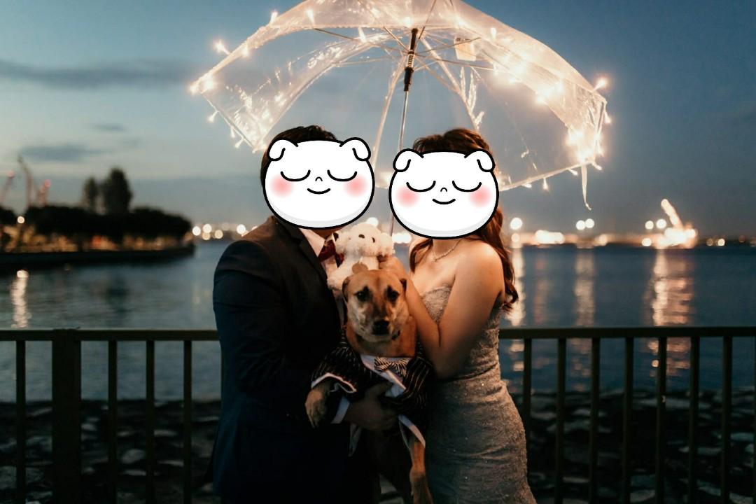 Umbrella fairy hot sale lights