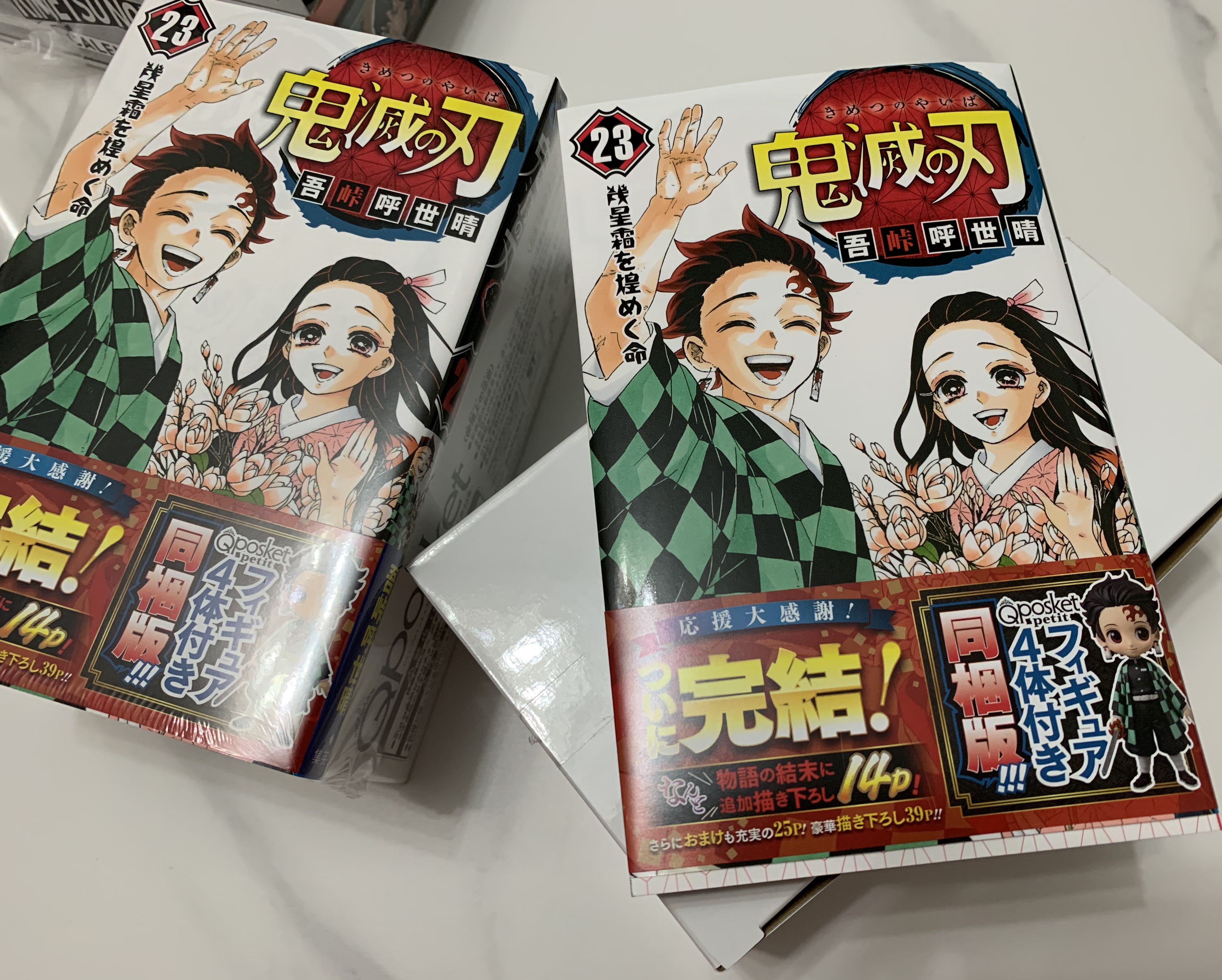 日版🇯🇵鬼滅之刃漫畫23卷特裝版, 興趣及遊戲, 書本& 文具, 漫畫