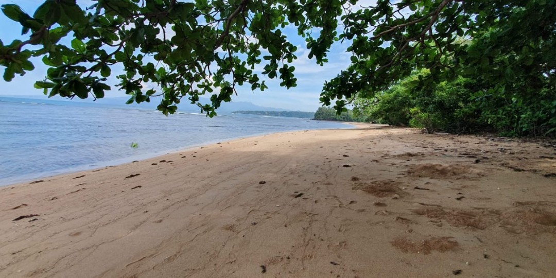 Beach Front Lot in Paysawan, Bagac, Bataan for Sale, Property, For Sale