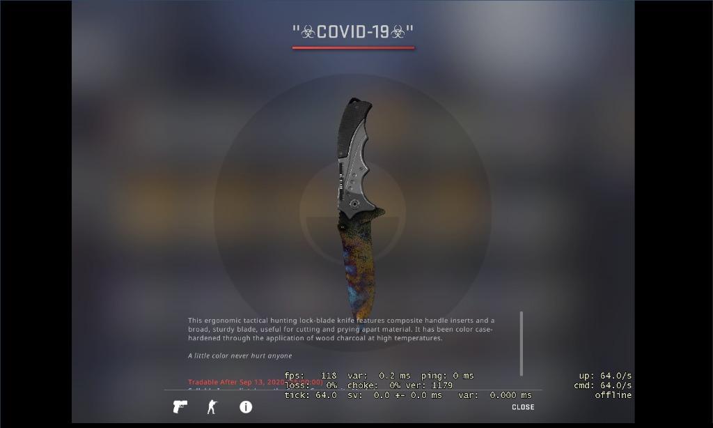 Csgo Nomad Knife BS (BLUEGEM), Video Gaming, Gaming Accessories, Game