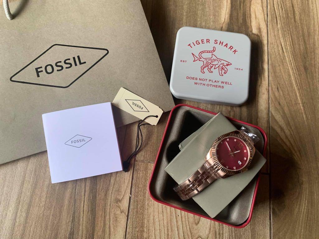 Fossil watch hot sale tiger shark