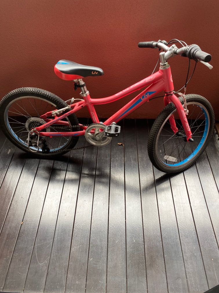 Giant LIV Mountain Bicycle ISO 4210 2