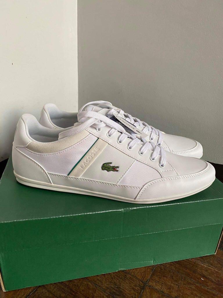 lacoste shoes size 12