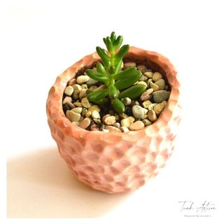 (Category: ) located in . Submitted by putrisukashop (Listing ID 1056202240, Image 1). Description: .