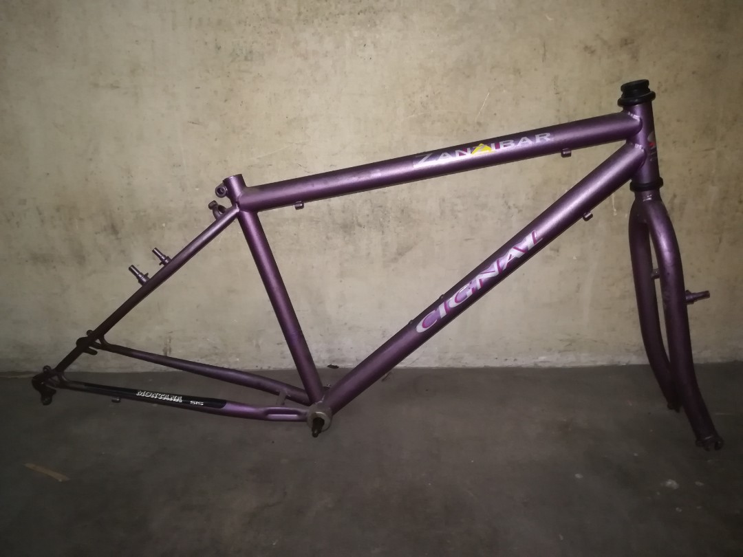 Vintage mountain cheap bike frame