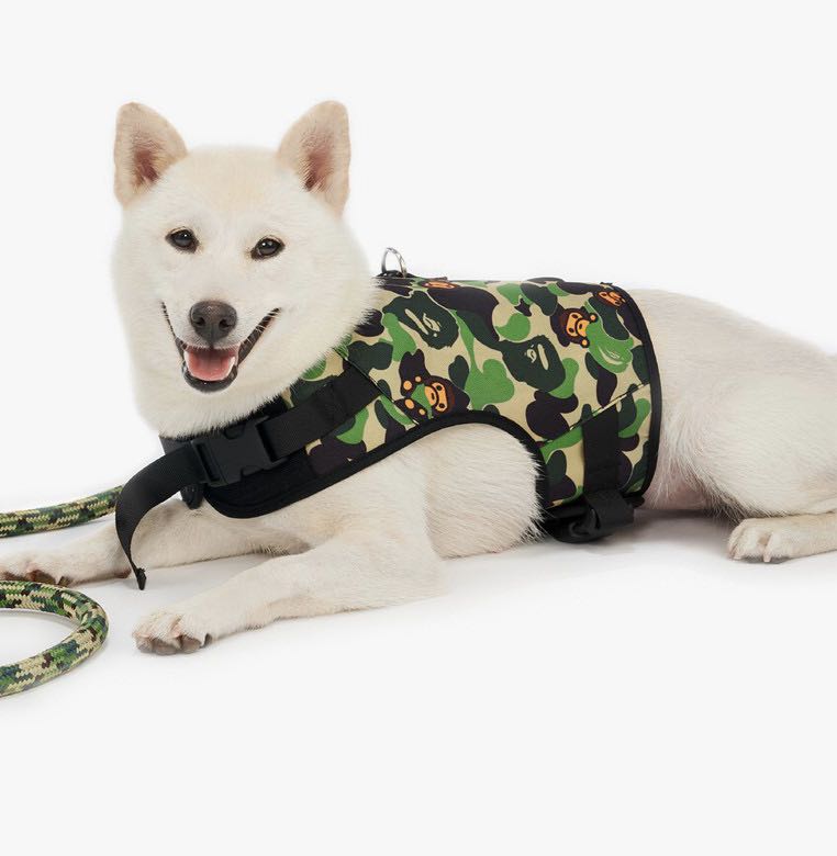 Bape dog harness