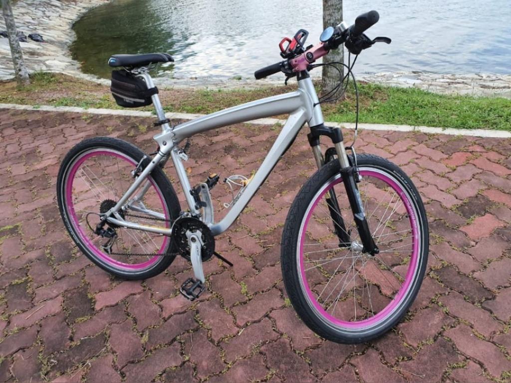 Bmw hybrid bike discount