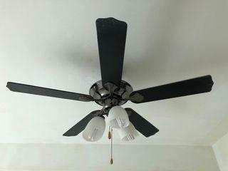 Ceiling Fan with 3 Light Bulbs