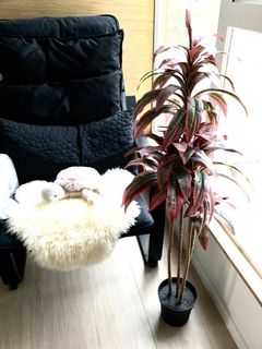（分類：）位於 。 由 dogudogu 提交（商品編號 1056447147，圖片 1）。簡介： 。