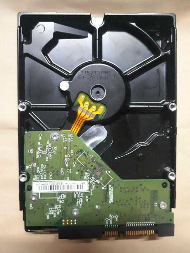 WD Caviar 500 GB Internap Hard Disk Blue (Category: Hard Disks & Thumbdrives) located in Pasig City. Submitted by tomden (Listing ID 1056596627, Image 2). Description: Western Digital Internal Hard Drive Caviar Blue 500 GB 7200 RPM 16 GB CACHE.