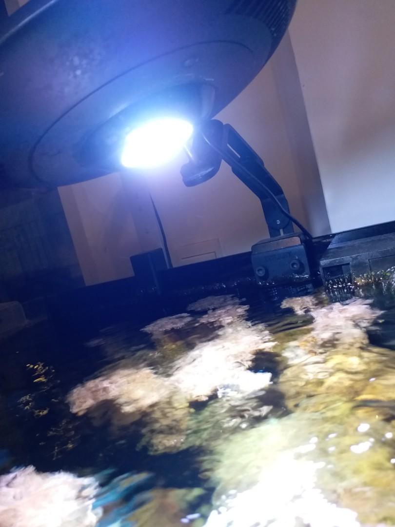 Zetlight ufo deals 8300