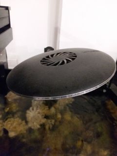 （分類：）位於 。 由 KenjiWN 提交（商品編號 1056611642，圖片 1）。簡介： 。