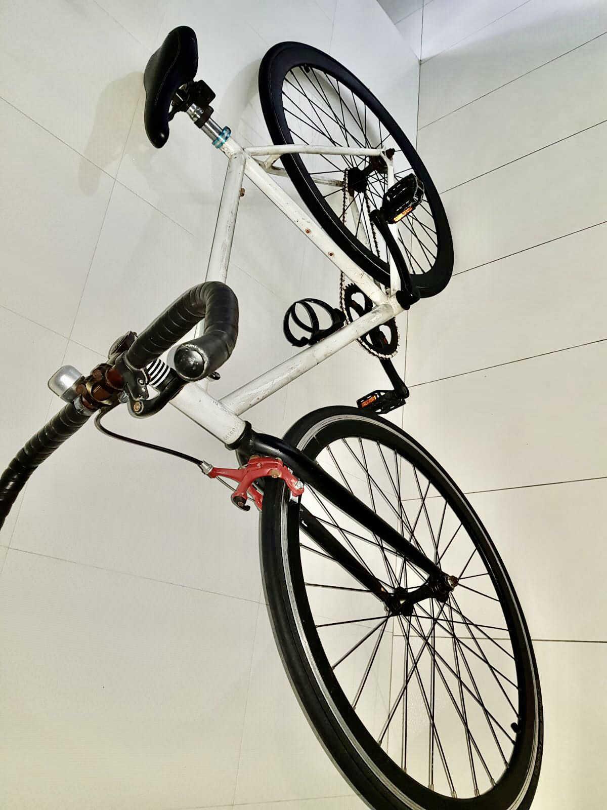 700c fixie with flip flop rims. Aluminium bull horn bar with dual pivot ...