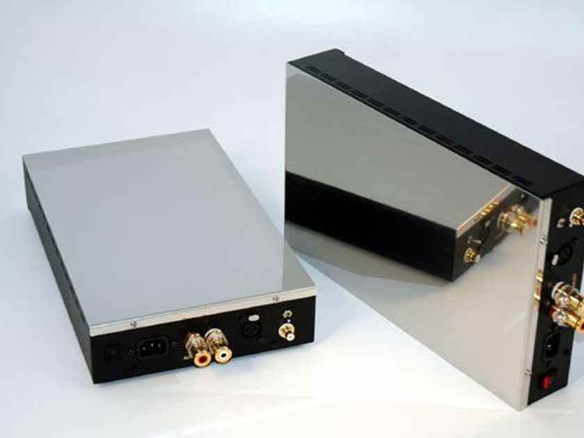 Acoustic Reality eAR 1001 單聲道後級一對, 音響器材, 可攜式音響設備 