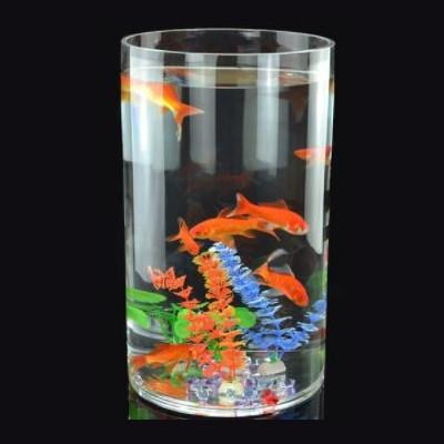 Tube aquarium sales