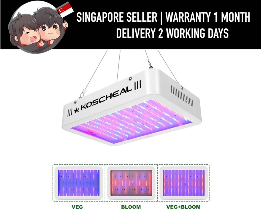 Koscheal hot sale 1200w led