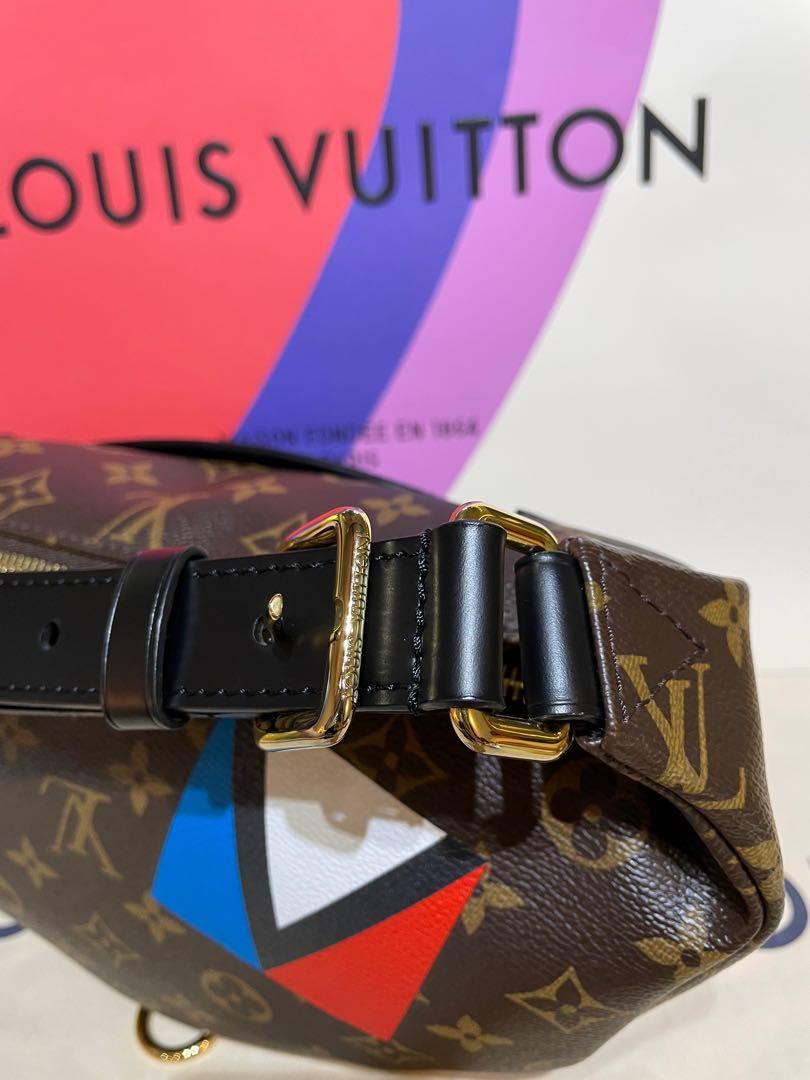 6 month Louis Vuitton Bumbag Review, World Tour Version, Modshots