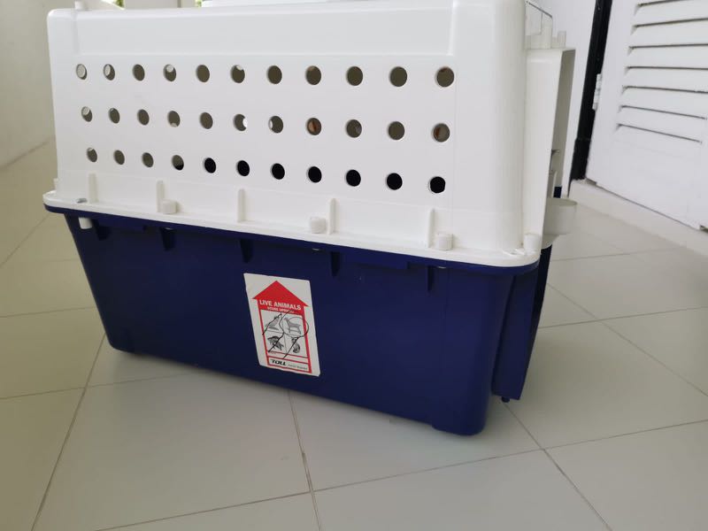 PP40 airline approved dog crate / animal crate, Pet Supplies, Homes