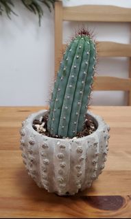 （分類：）位於 。 由 heropigpig 提交（商品編號 1052350986，圖片 1）。簡介： 。