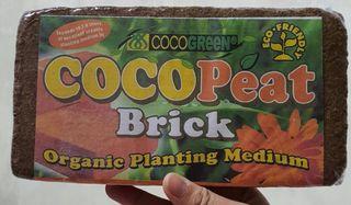CocoPeat Brick