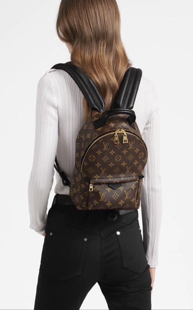 LIMITED EDITION Louis Vuitton LV BackPack Palm Springs PM Reverse Monogram