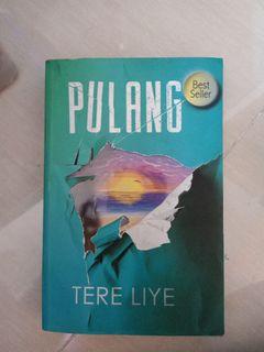 Novel Pulang - Tere Liye