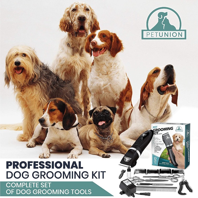 professional dog grooming set