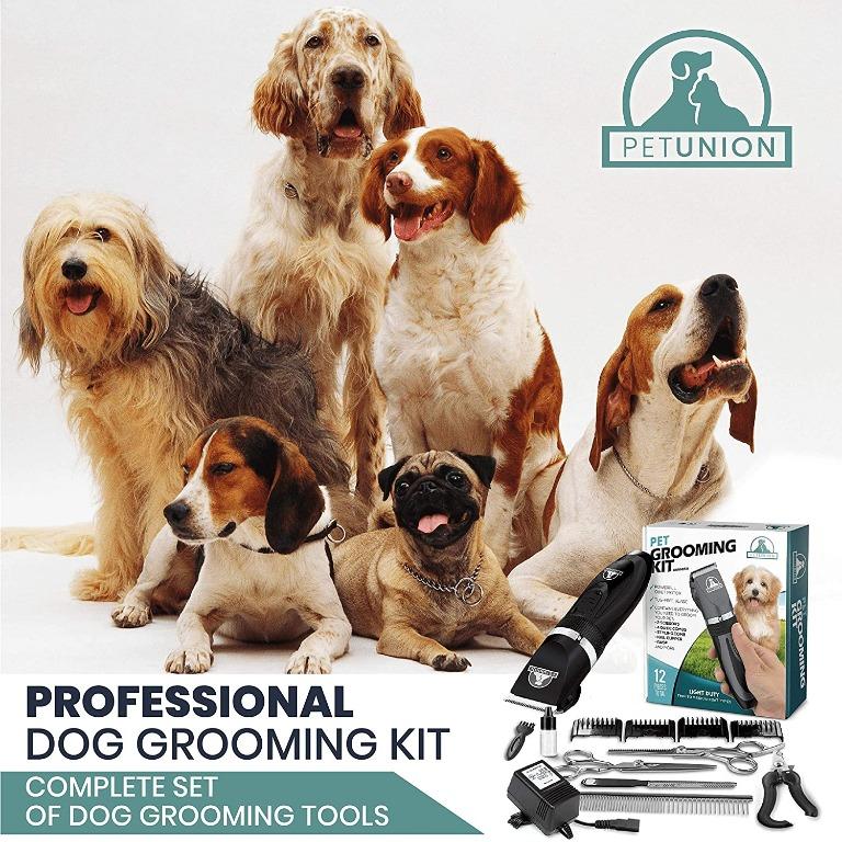 Professional dog store grooming tools