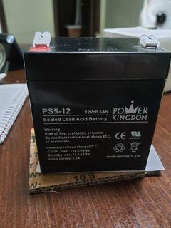 Power Kingdom 12V 5Ah 20hr battery 12V 5A UPS