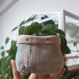 (Category: ) located in . Submitted by onlyplanters (Listing ID 1057053296, Image 1). Description: .