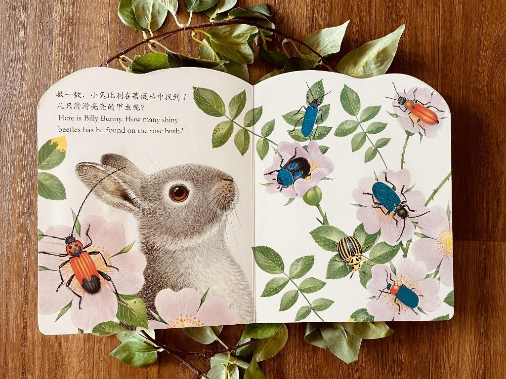 Chinese Book: 小兔比利 Small Rabbit Billy, Hobbies & Toys, Books ...