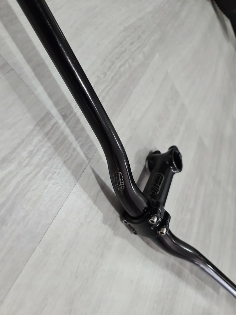 bassani exhaust dyna