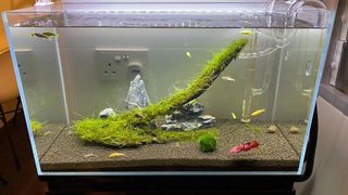 (Category: ) located in . Submitted by dlbx88 (Listing ID 1055533877, Image 1). Description: .