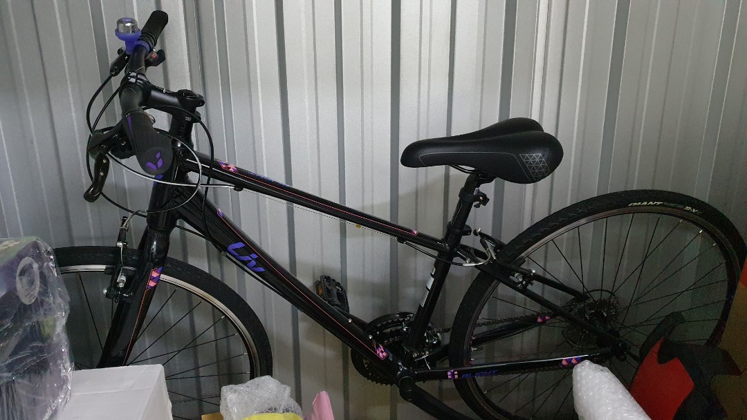 GIANT Liv Alight Bicycle Size XS For 