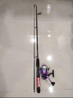 5ft spinning rod