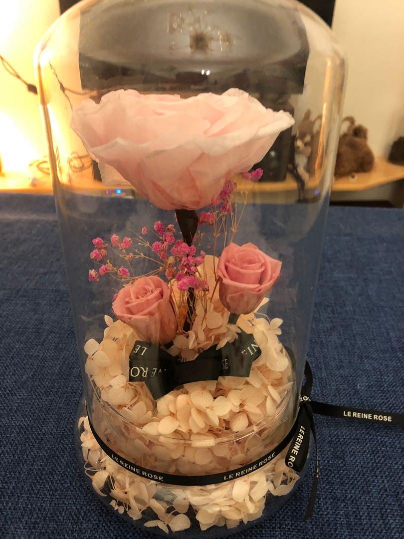浪漫粉紅色永生花玫瑰保鮮花乾花 手作 自家設計 手作產品 飾物 Carousell