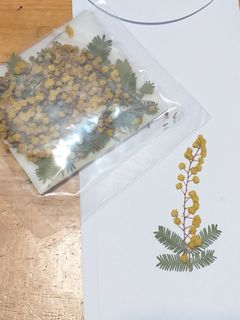 （分類：）位於 。 由 blazep13 提交（商品編號 1053171880，圖片 1）。簡介： 。