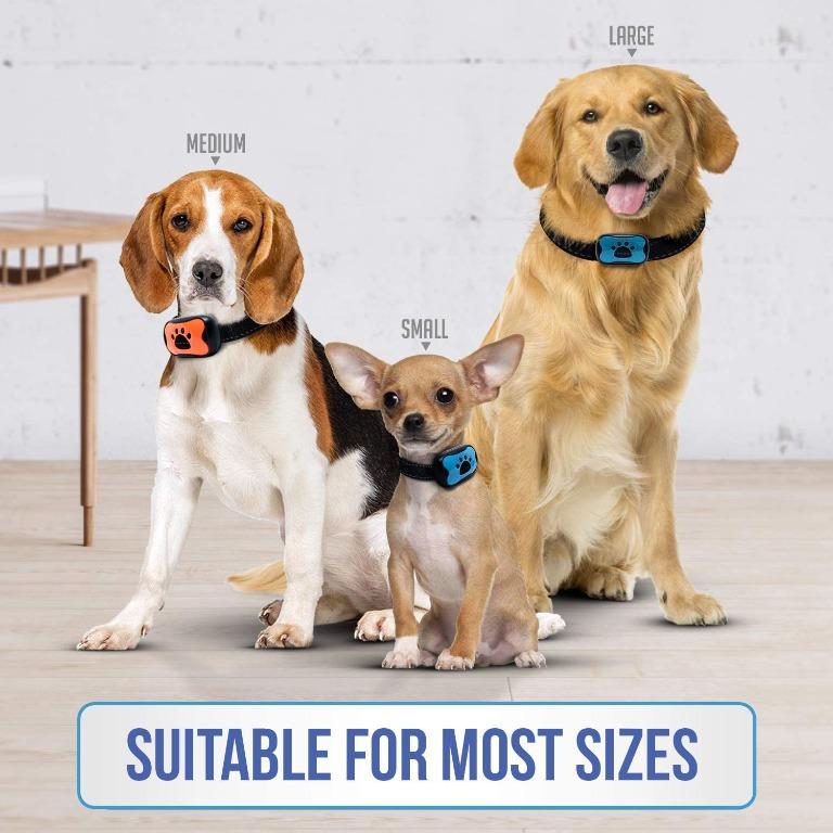 Pet681v anti top bark collar