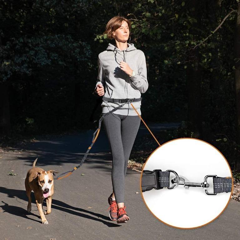 BRAND NEW Winkeyes Hands Free Retractable Dog Leash 5ft 8ft with Dual Bungees for Puppy Small