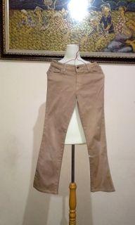 Brownn Hipster Pants