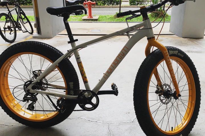 fatbike momentum