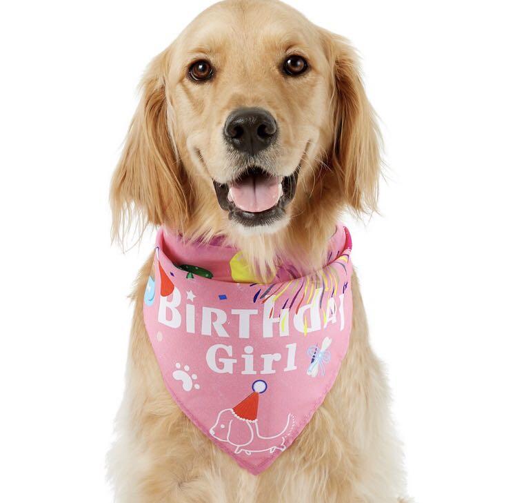Pet dog birthday girl pink boy blue bandana bib birthday party